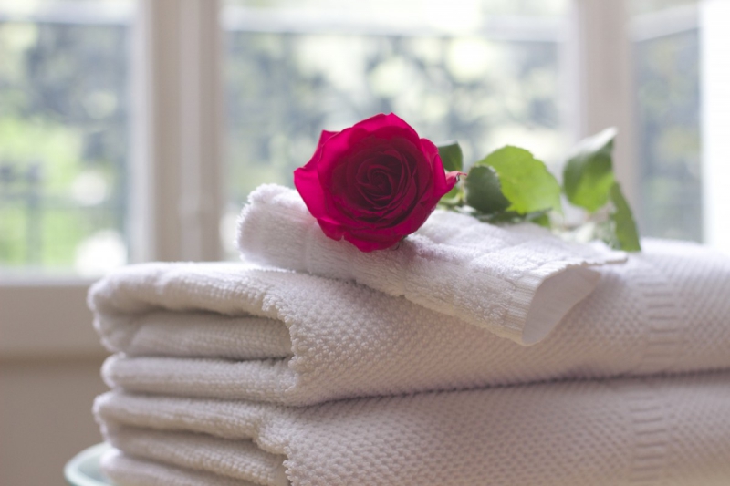 chambre-hote-VINS SUR CARAMY-min_towel_rose_clean_care_salon_spa_white_bath-731641